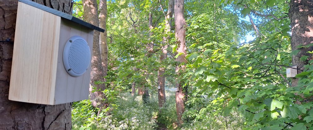 A speaker mounted in a box on a tree in the forest