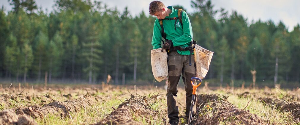 Man holding bags containing saplings planting in the forest