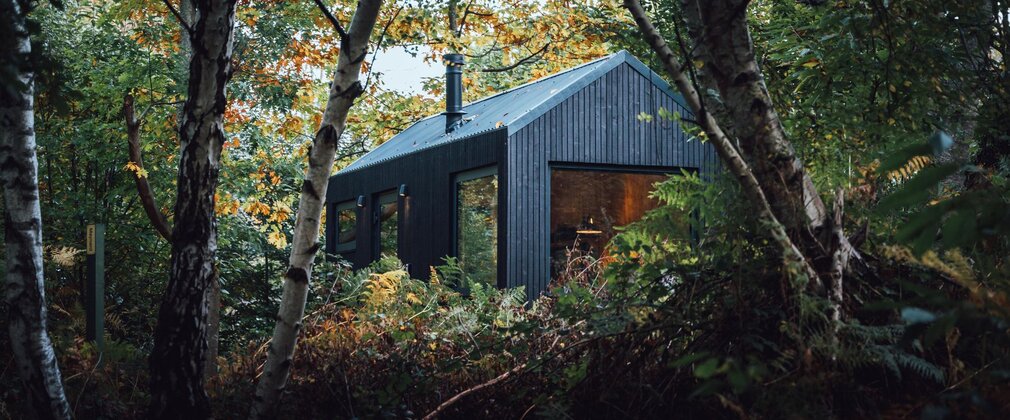 A small cosy-looking cabin nestled among trees.