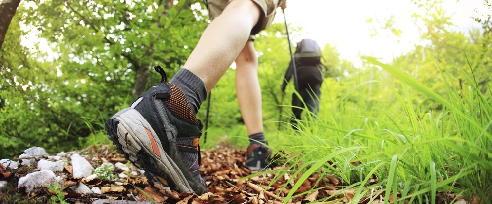 grizedale walking boots