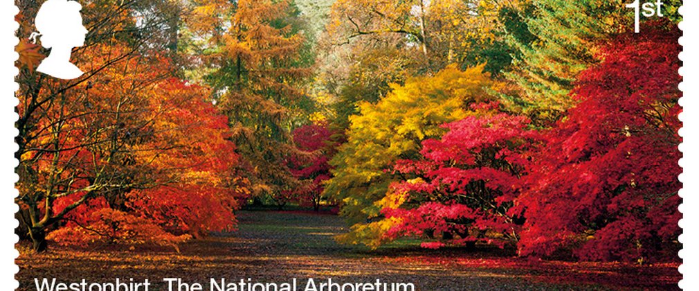 Westonbirt, The National Arboretum | Forestry England