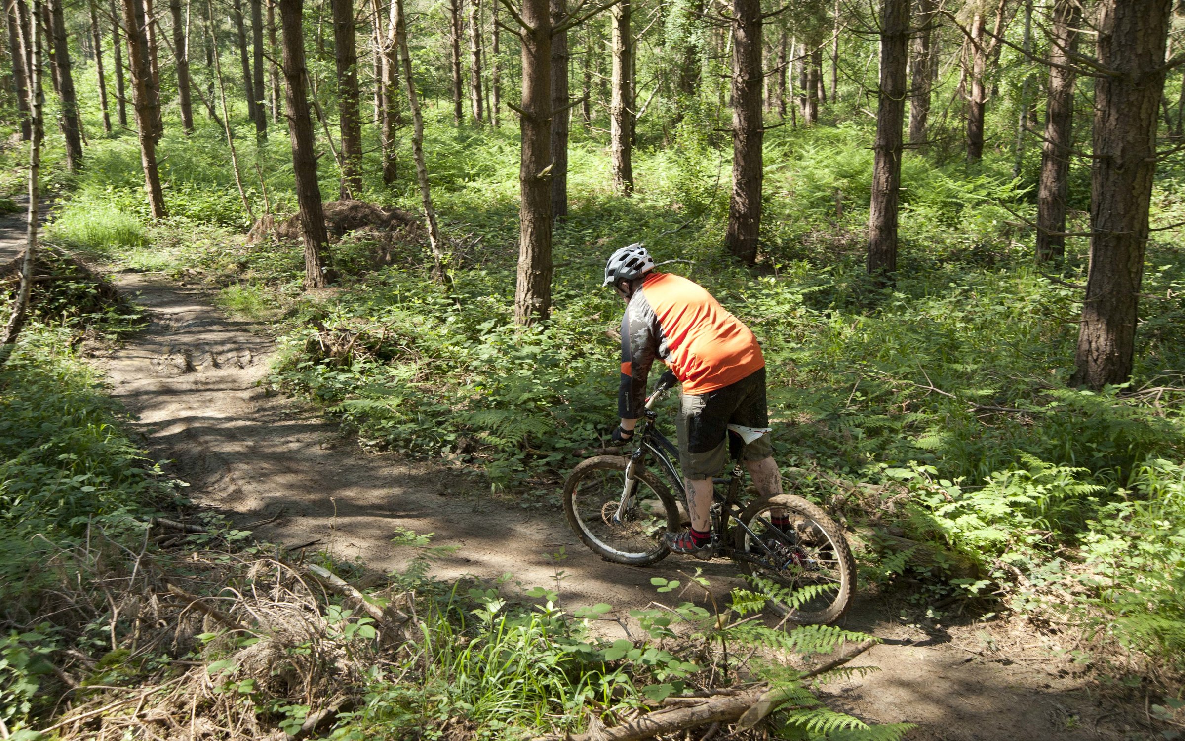 Hopton wood online mtb