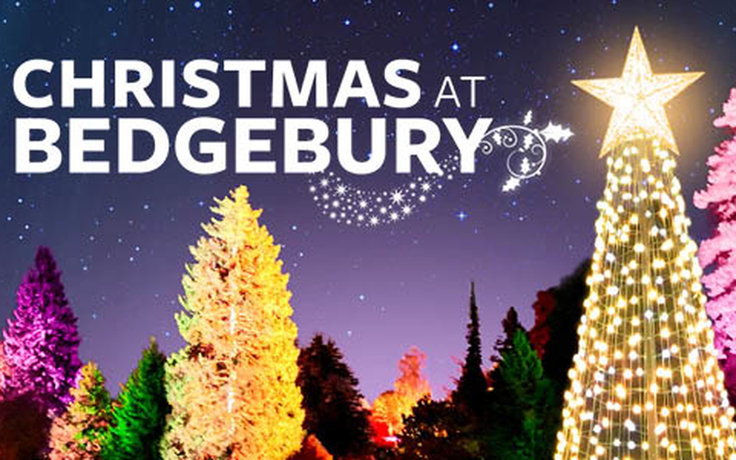 Christmas At Bedgebury Forestry England