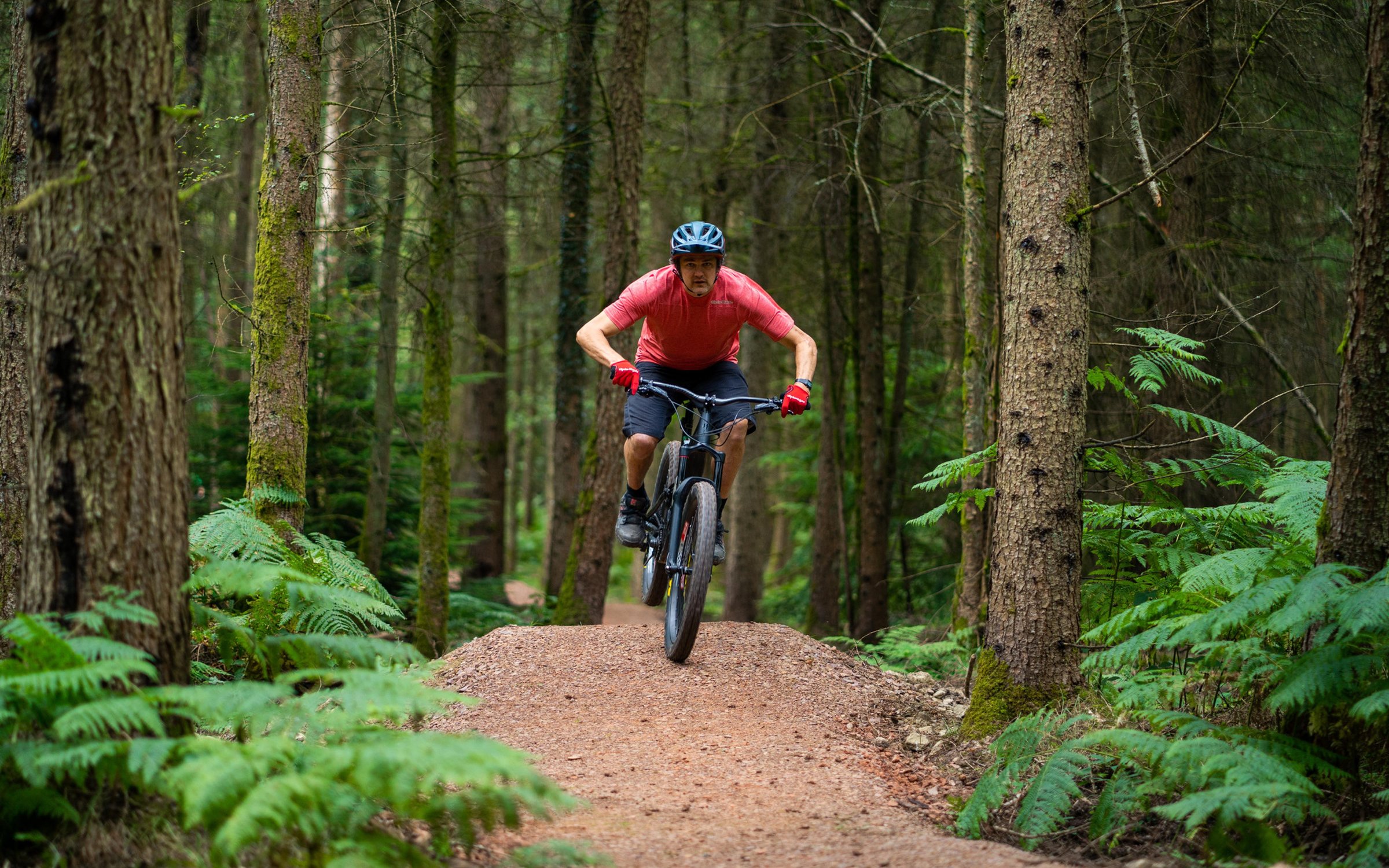 Aston hill mountain bike park on sale