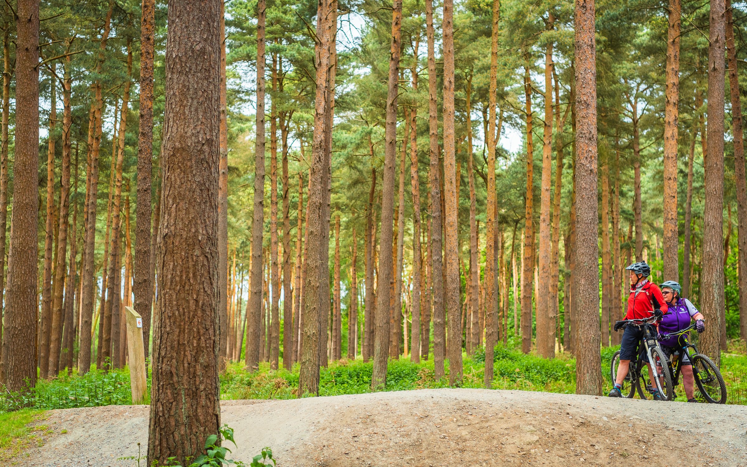 Pump track at High Lodge Forestry England