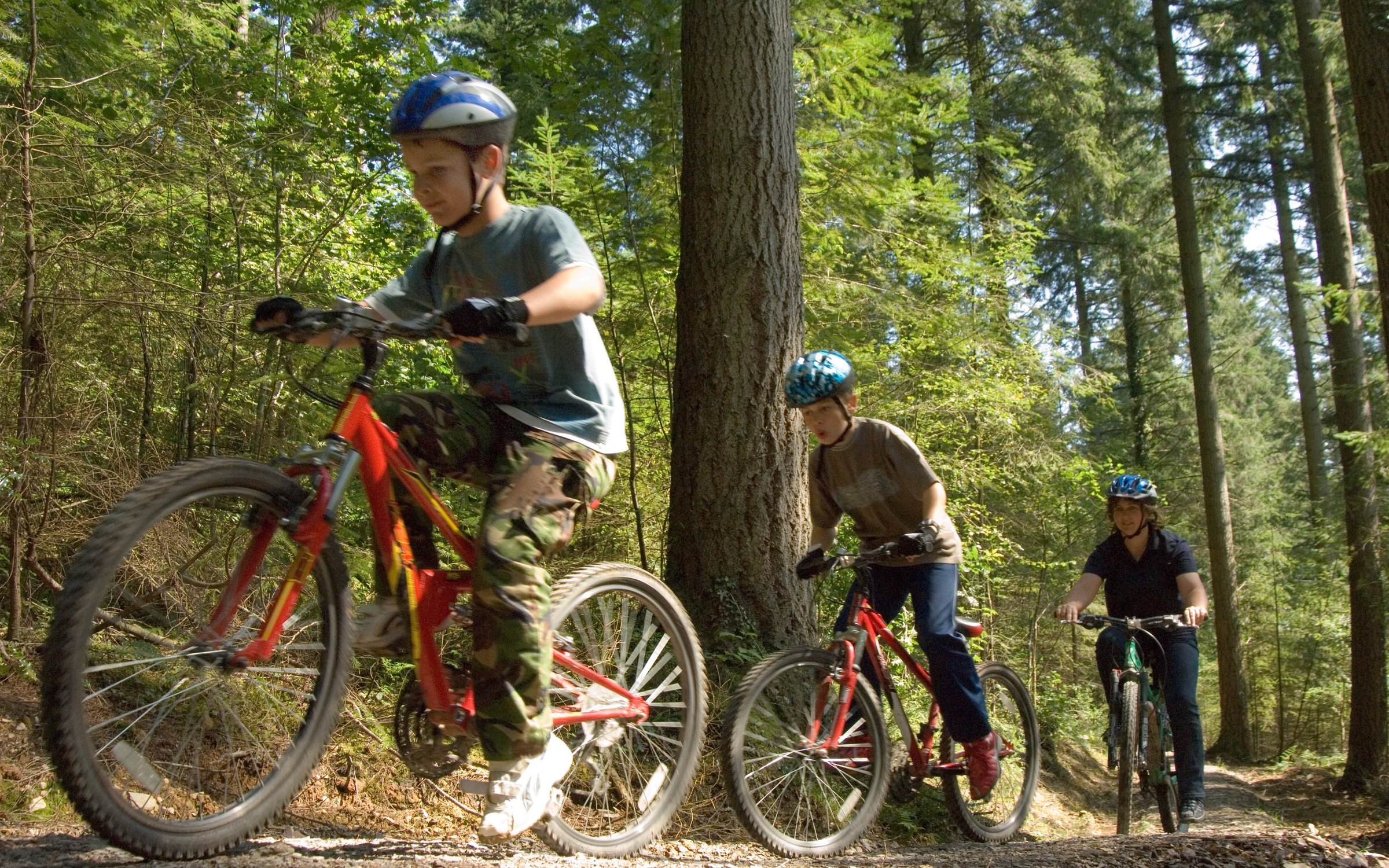 new forest family cycle routes