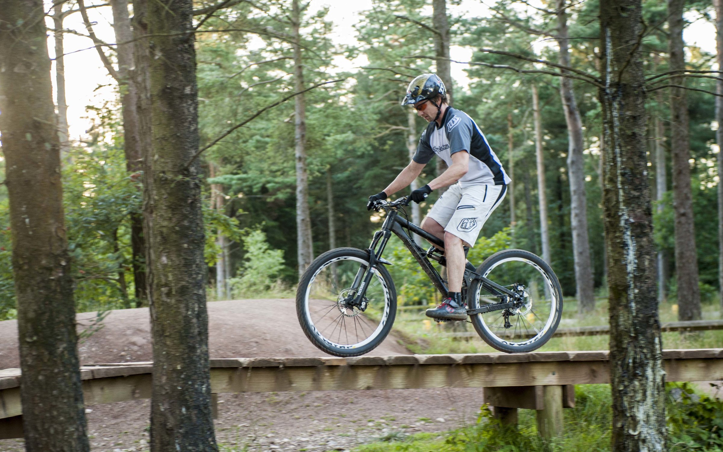 haldon forest mtb