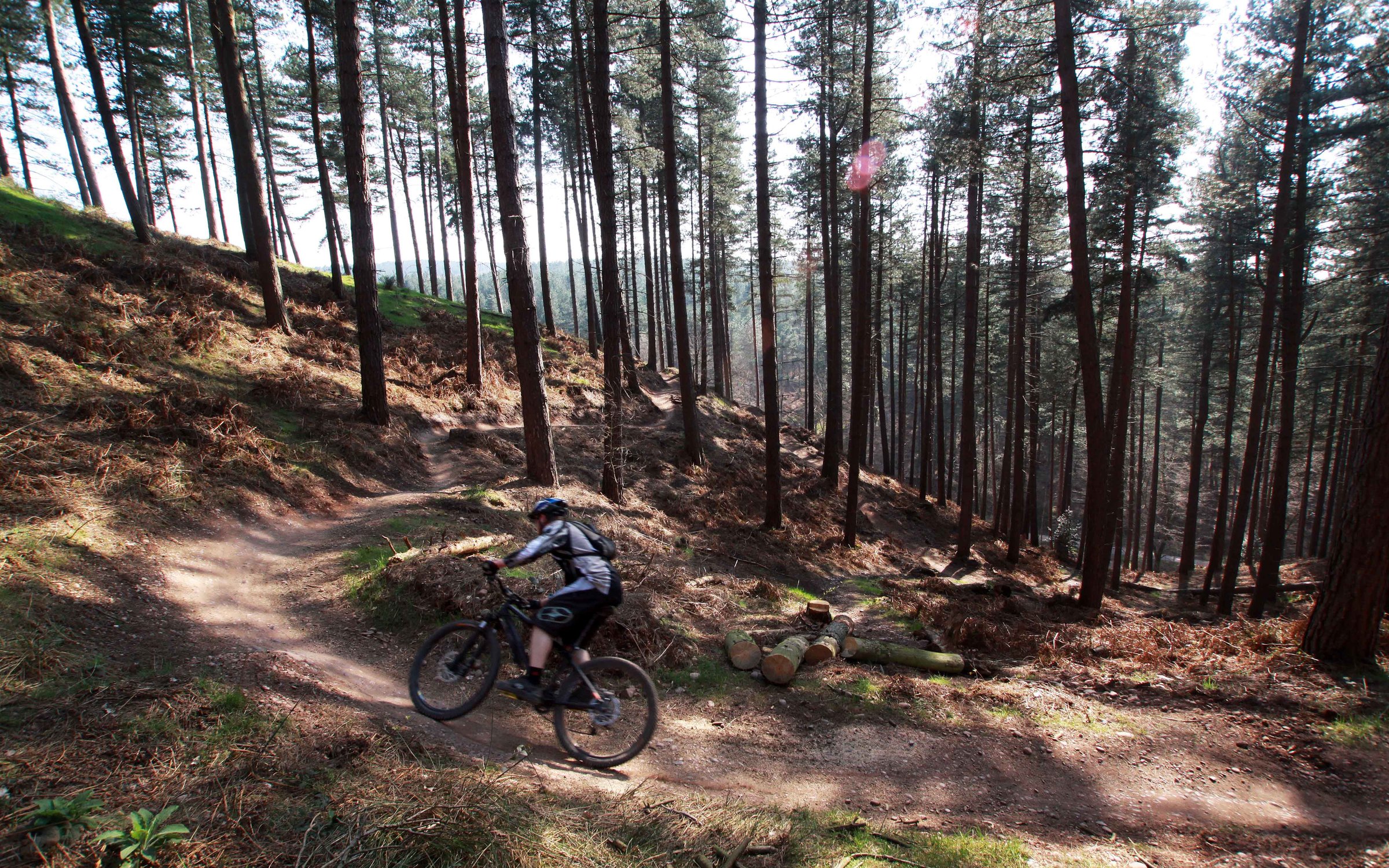 cannock chase cycle centre