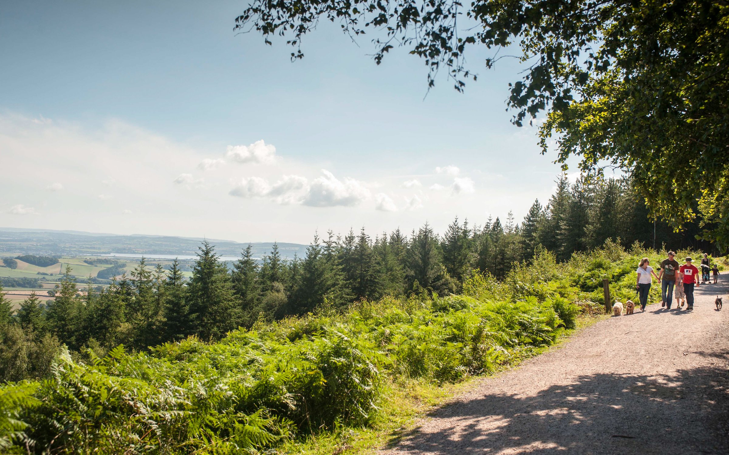 haldon bike trails