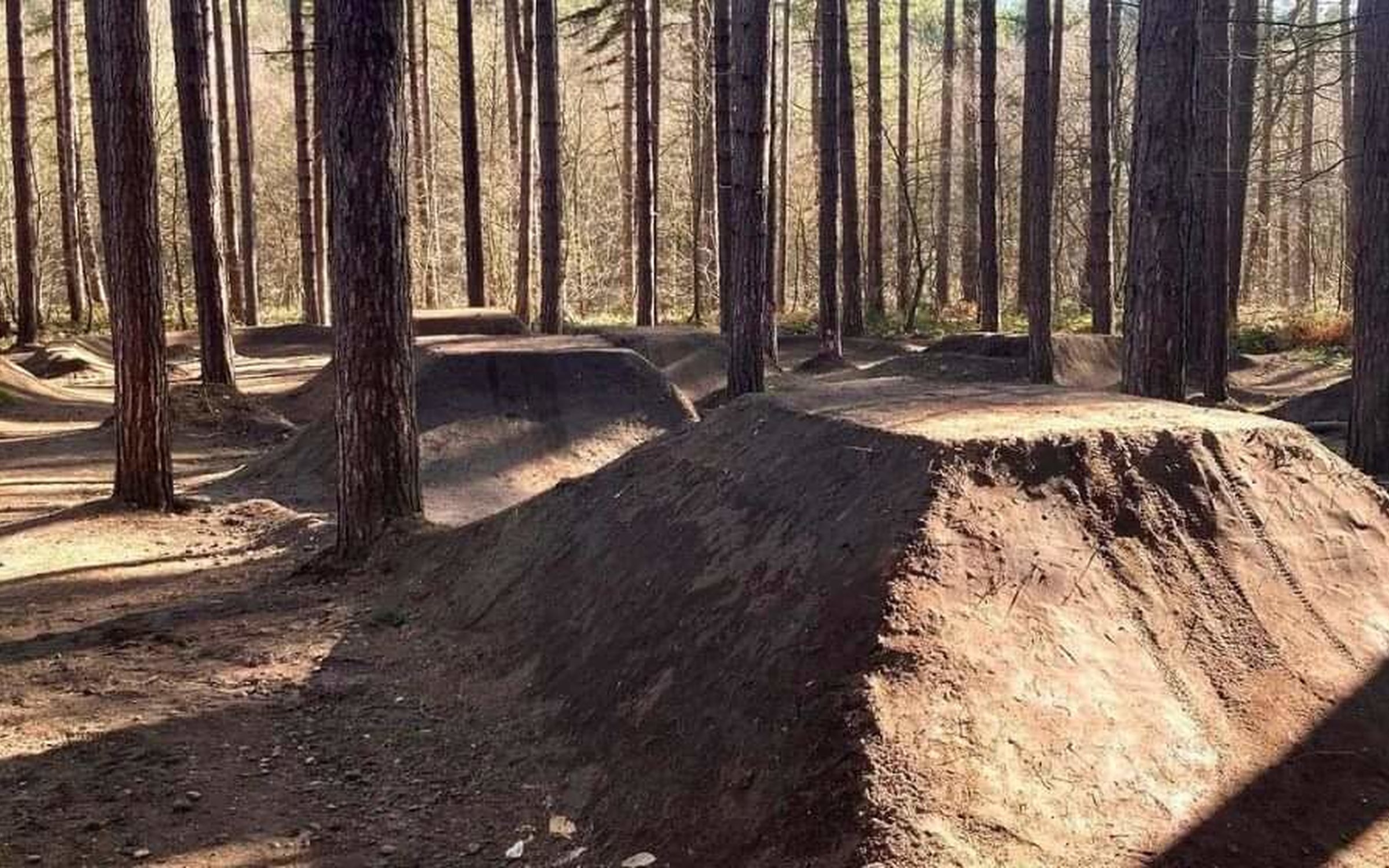 Sherwood pines mtb trails on sale