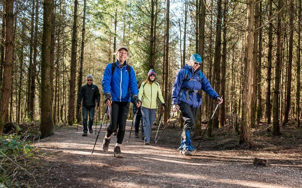 Mortimer Forest Forestry England