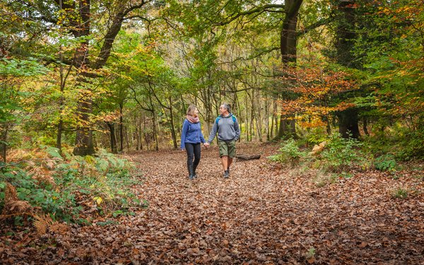 Chambers Farm Wood | Forestry England