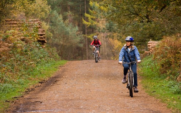 Delamere Forest Forestry England