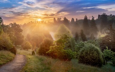 Summer sunrise over the National Pinetum