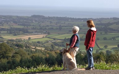 Walkers with their dog enjoying the view from top of hill