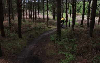 Cycling and mountain biking trails at High Lodge Forestry England