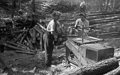 Lumber Jills operating portable 'liner' saw at Rendlesham Forest, Suffolk, July 1945