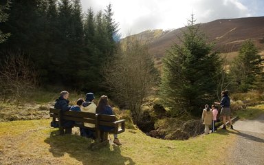 Whinlatter forest view from Revelin Moss