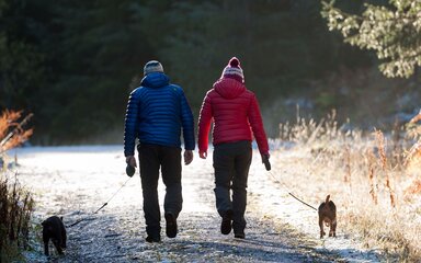 Seen from behind, two people and two dogs on leads, on a frosty forest path.