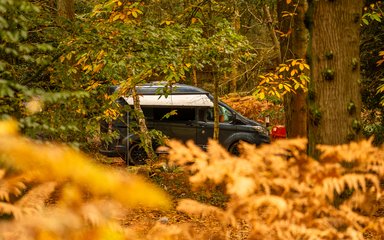 A campervan driving through an autumn forest