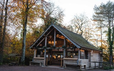 Log cabin cafe within a forest