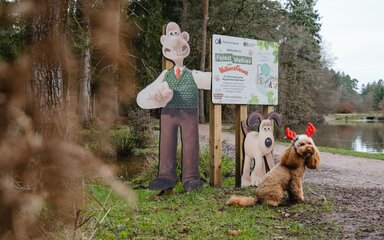 Dog wearing antlers sits in front of a Wallace and Gromit sign in a forest