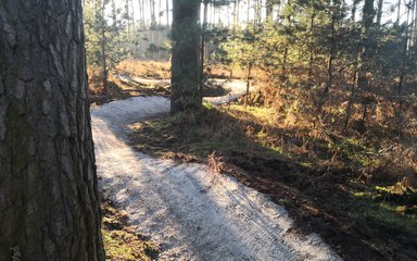 Cycling and mountain biking trails at High Lodge Forestry England