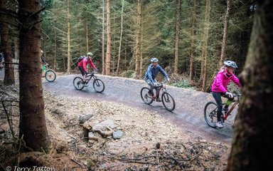 thetford forest bike trails