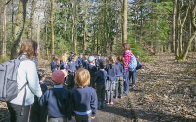 A group of school children in the forest with their teachers
