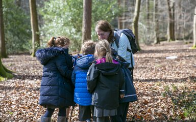 Small group of children in the forest, huddled round a teacher looking at something