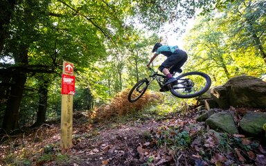 Mountain biker jumping over a rock in a forest