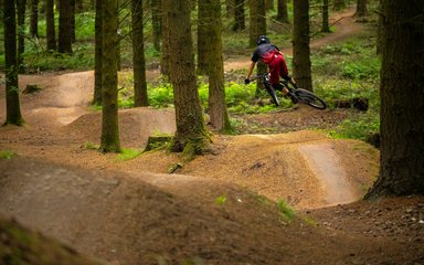 Mountain biking trails at Forest of Dean Cycle Centre