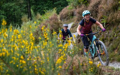 Two women on mountain bikes on a gravel track surrounded by summer foliage