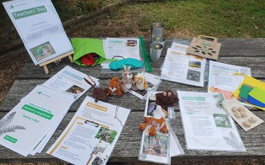 Tabletop display of Forestry England teaching resources
