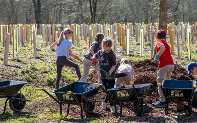 Students shovel mulch into wheelbarrows