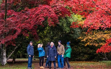 A group of adults on an autumn guided walk admire the rich colour around them.