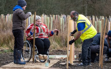 A woman in a wheelchair holds a tree to a man in a high-vis jacket who is digging a hole, surrounded by colourful tree tubes.