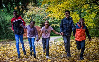 Autumn Westonbirt