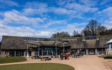 A sunny day outside Beechenhurst Cafe