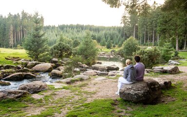 A couple sitting side by side on a large boulder looking across a winding river in a forest.