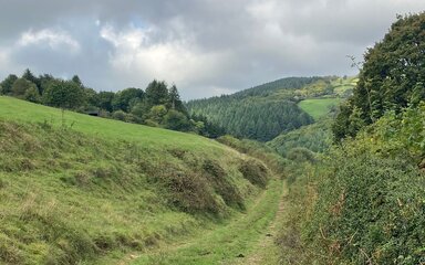A grassy track with trees and hills in the distance.