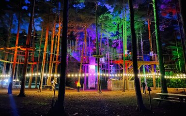 Go Ape activity lit up at night in a forest