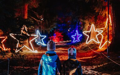 Two children walking through a forest illuminated by star lights