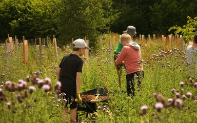 Young participants of a planting project can be seen with spades and wheelbarrows looking after young sapling trees.