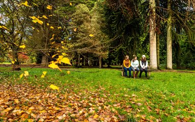 A family enjoying Autumn colours sitting on a bench