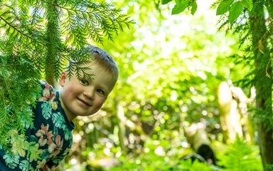 A young boy smiling as he peers around green foliage