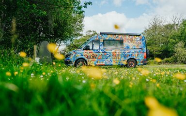 A brightly painted motorhome parked among greenery.