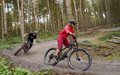 Two men ride mountain bikes down a trail through Cannock Chase Forest