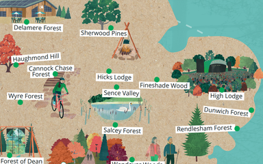 Forestry England map close-up