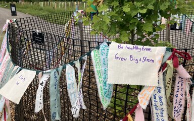 Bits of material with words written on line a tree protection fence.